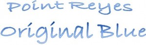 Point Reyes Blue Name