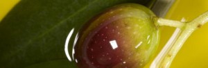 Oily Olive